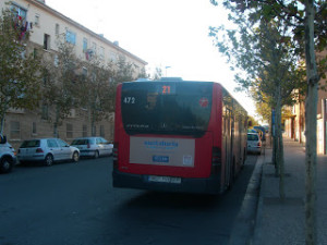 Bus 21