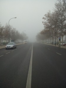en la niebla