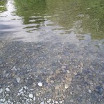 agua del rio gállego