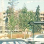 291_cons