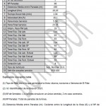 linea 28-2013