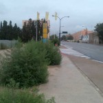 PLANTAS1