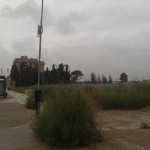 PLANTAS2