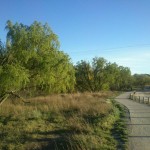 hoyriogallego (Fotos Rio Gallego ochenteras)