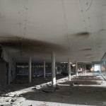 DSCF4510