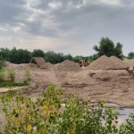 IMG_20150718_103622