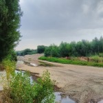 IMG_20150718_103633