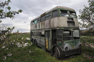 trole74