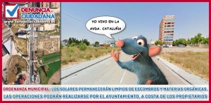 zgz ciudadana